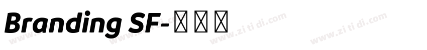 Branding SF字体转换